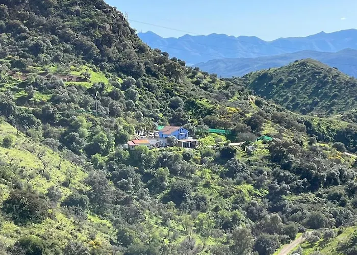 شاليه Almendros